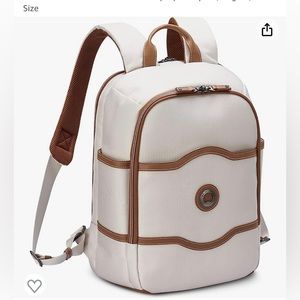 Delsey Travel Backpack